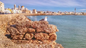 Día de Andalucía Cadiz