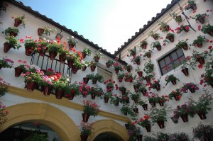 Día de Andalucía Córdoba