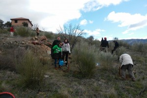 Seguros RGA - Reforestación del Monte Santa Catalina