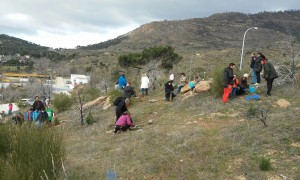 Seguros RGA - Reforestación del Monte Santa Catalina