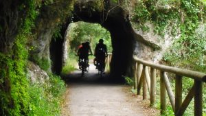 senda del oso foto asturiesconbici.org