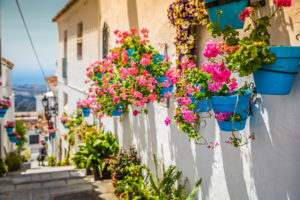 mijas seguros rga