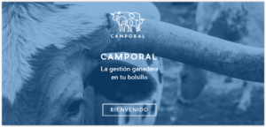 mujeres rurales camporal
