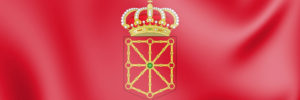 día de navarra bandera