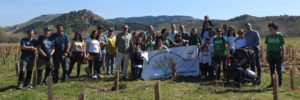 voluntariado corporativo seguros rga isla del colegio