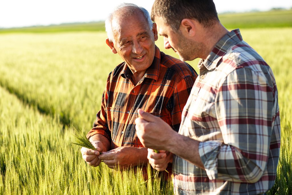 daños sector agrícola rga seguros