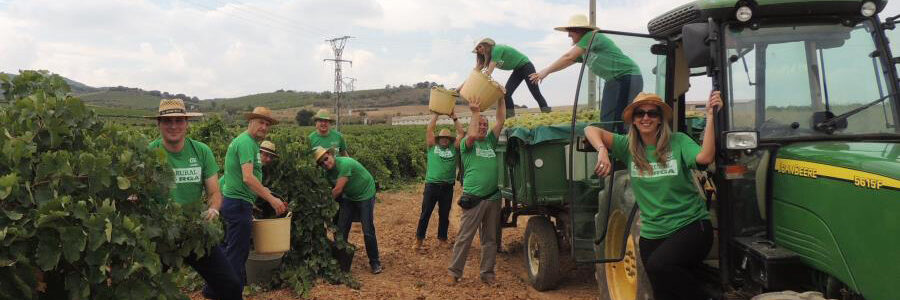 El Grupo Caja Rural siempre ha estado muy pegado a los territorios.