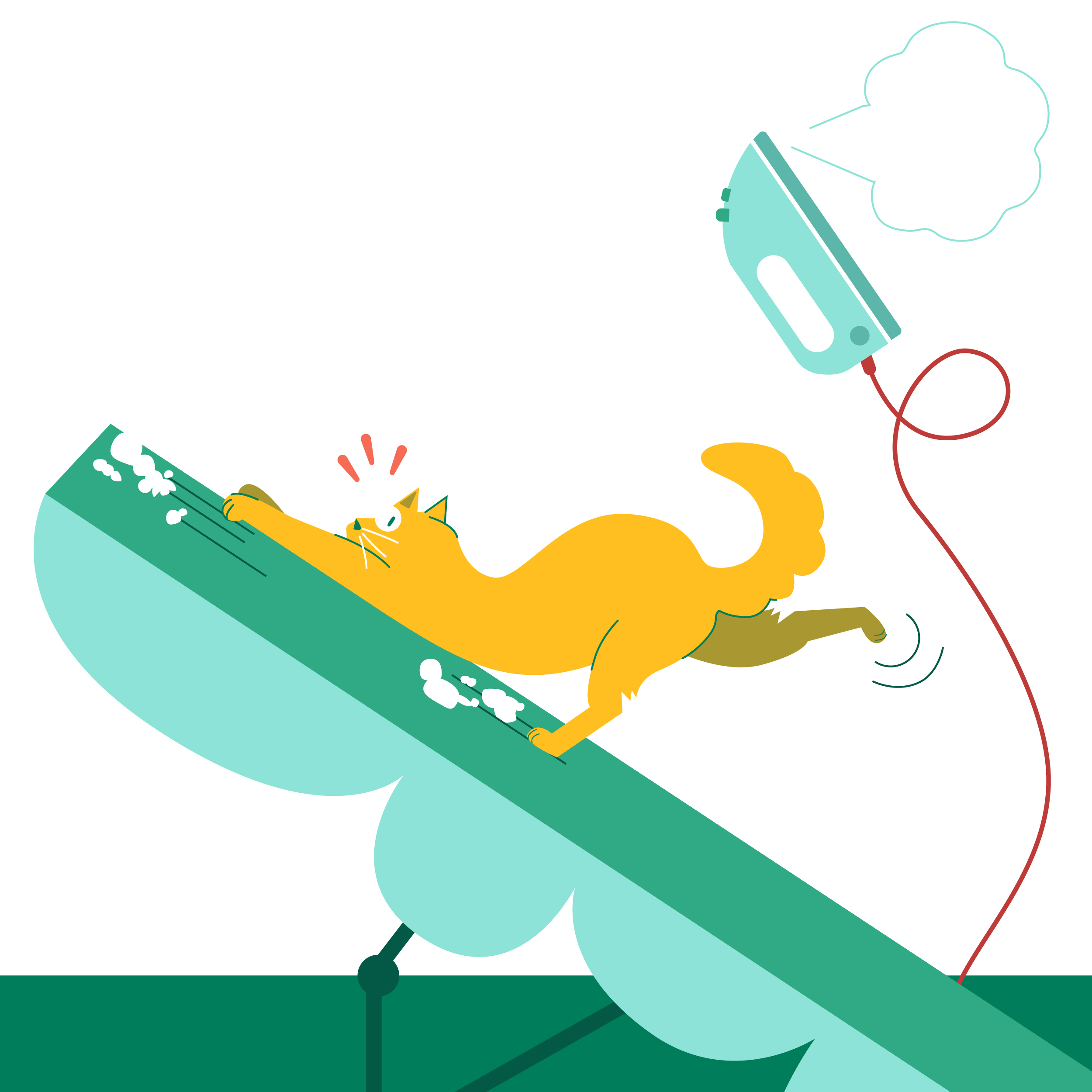 La Cobertura Que Protege Tu Amistad Con Los Vecinos Estamos Contigo