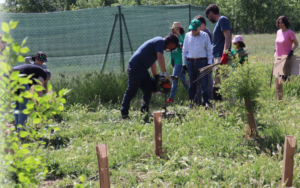 Reforestación Bosque Seguros RGA