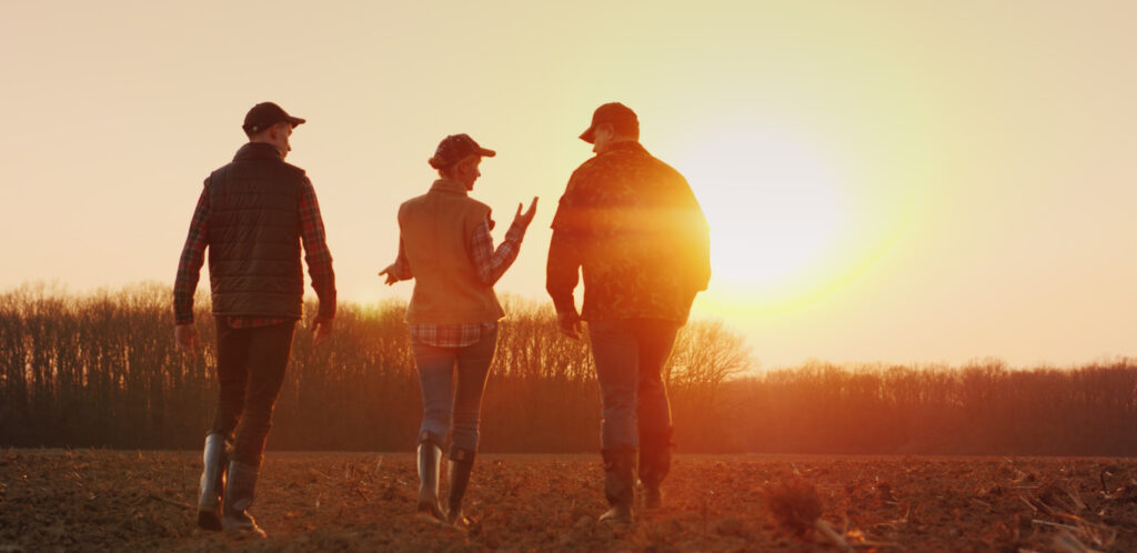 indemnizaciones del seguro agrario