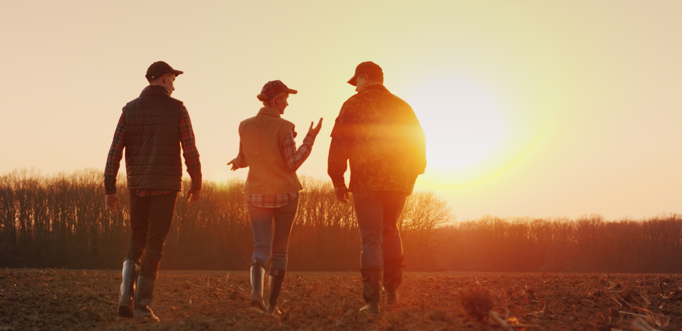 indemnizaciones del seguro agrario